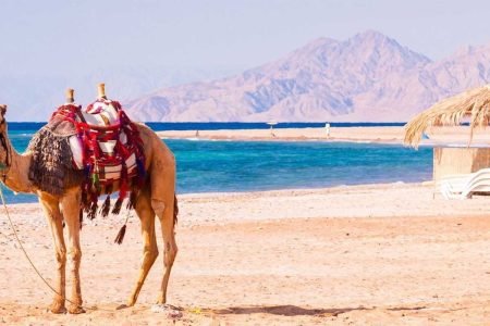 Exploring the Enchanting Beauty of Hurghada and Its Must-Visit Places