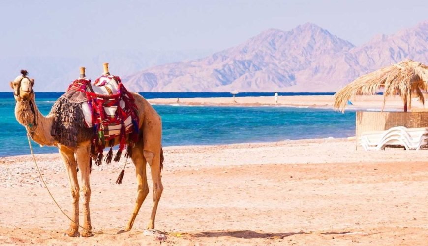 Exploring the Enchanting Beauty of Hurghada and Its Must-Visit Places