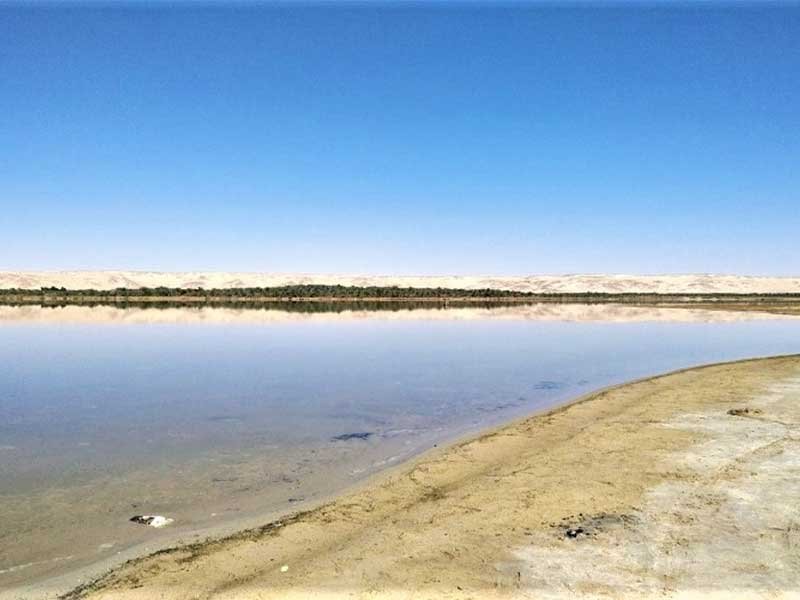 Day trip to Bahariya Oasis from Cairo