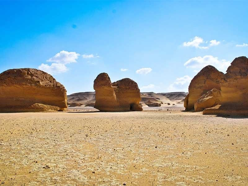 Explore the White Desert and Bahariya Oasis (6 Days/5 Nights )