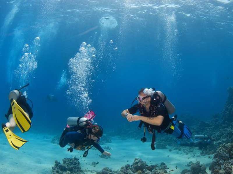 PADI Discover Scuba Diving in Sharm El Sheikh Red Sea ( Beginners )