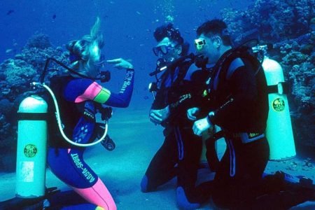 Padi Open Water Diver Course in Sharm El Sheikh Red Sea