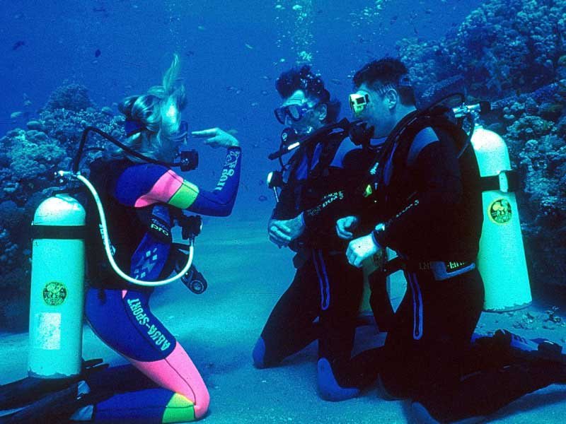 Padi Open Water Diver Course in Sharm El Sheikh Red Sea