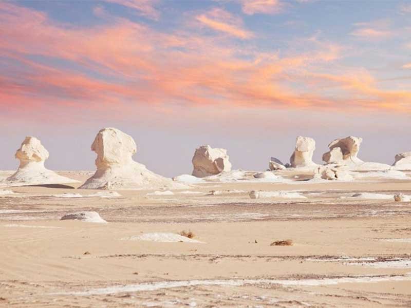 Explore the White Desert and Bahariya Oasis (6 Days/5 Nights )