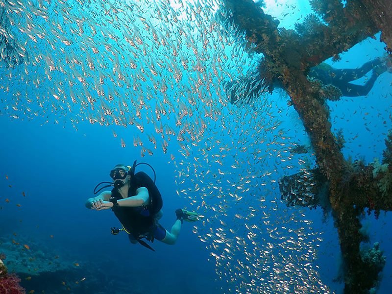 Padi Open Water Diver Course Hurghada Red Sea