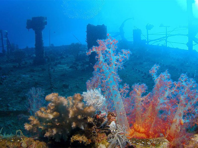 PADI Wreck Diver Specialty Course, Hurghada Red Sea