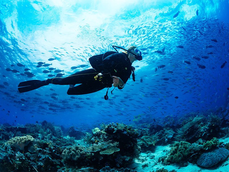 PADI Wreck Diver Specialty Course, Sharm El Sheikh Red Sea