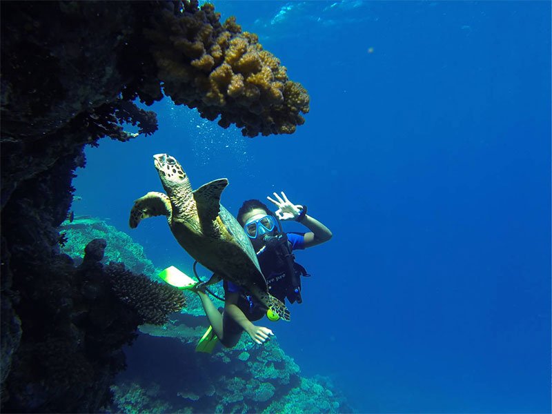 PADI Wreck Diver Specialty Course, Sharm El Sheikh Red Sea