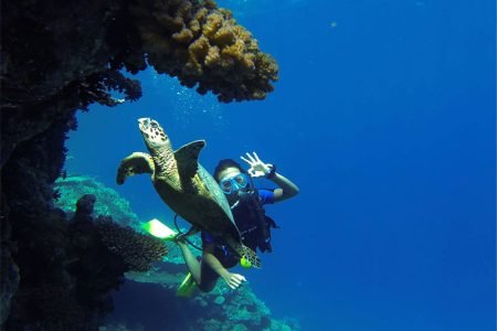 PADI Wreck Diver Specialty Course, Sharm El Sheikh Red Sea