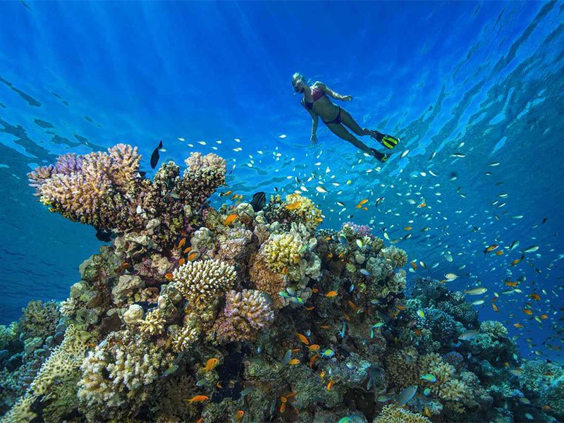 PADI Wreck Diver Specialty Course, Sharm El Sheikh Red Sea