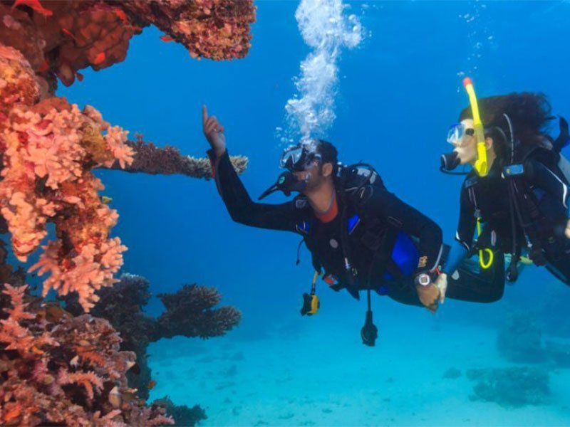 PADI Discover Scuba Diving Course Red Sea Egypt